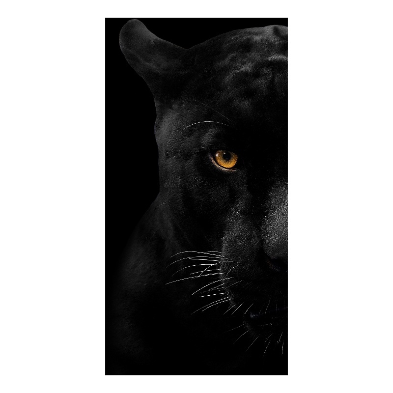 Panther Face Frameless Multi-Color Tempered Glass Wall Art - 40