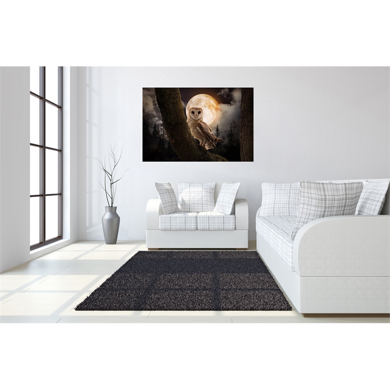 Night Owl Frameless Multi-Color Tempered Glass Wall Art - 60