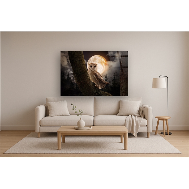Night Owl Frameless Multi-Color Tempered Glass Wall Art - 60