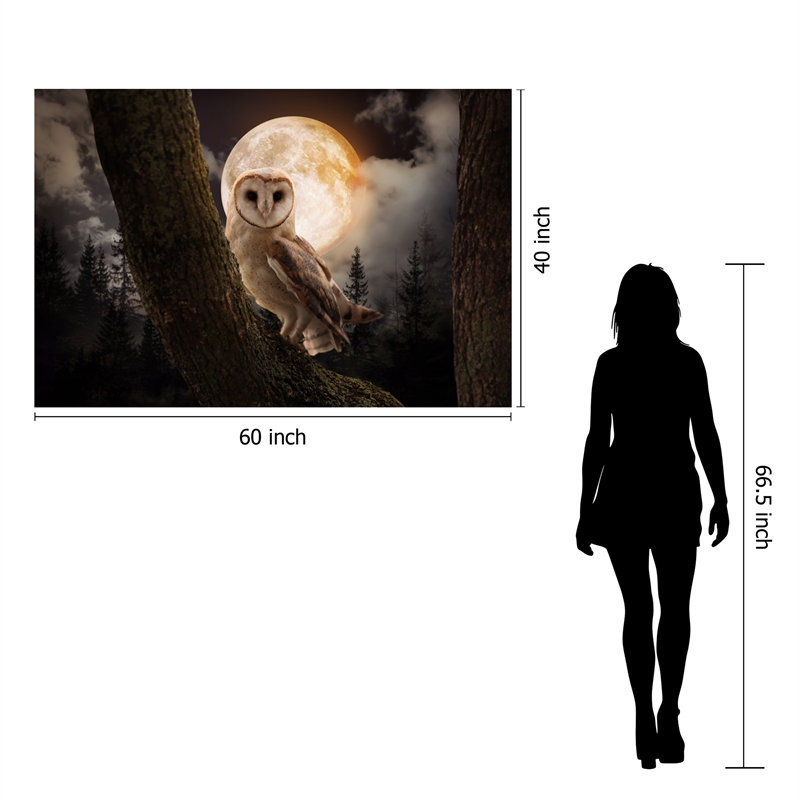 Night Owl Frameless Multi-Color Tempered Glass Wall Art - 60