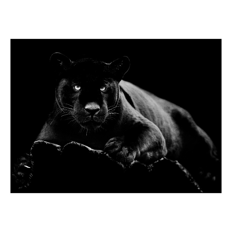 Black Panther Frameless Multi-Color Tempered Glass Wall Art - 60