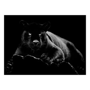 Black Panther Frameless Multi-Color Tempered Glass Wall Art - 60&quot x 40&quot
