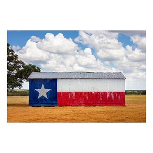 Texas Flag Barn Frameless Multi-Color Tempered Glass Wall Art - 60&quot x 40&quot