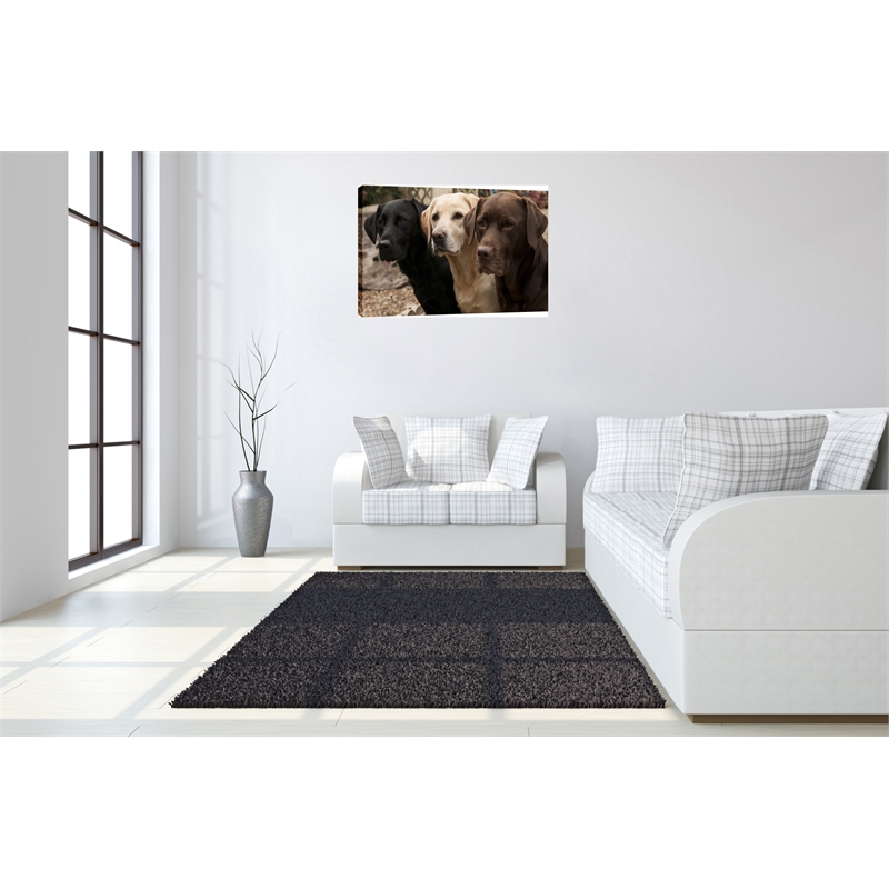 Three Labs in Waiting Multi-Color Canvas Wall Art - Wood Frame - 36