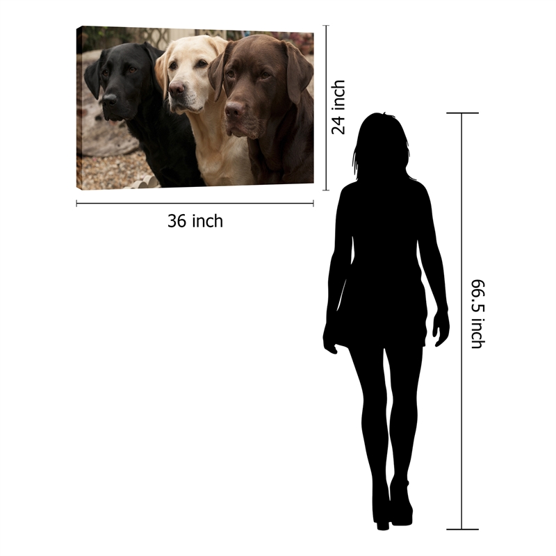 Three Labs in Waiting Multi-Color Canvas Wall Art - Wood Frame - 36