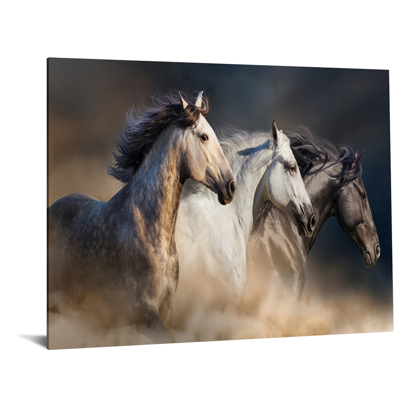 Wild Stallion Trio Frameless Multi-Color Tempered Glass Wall Art - 60