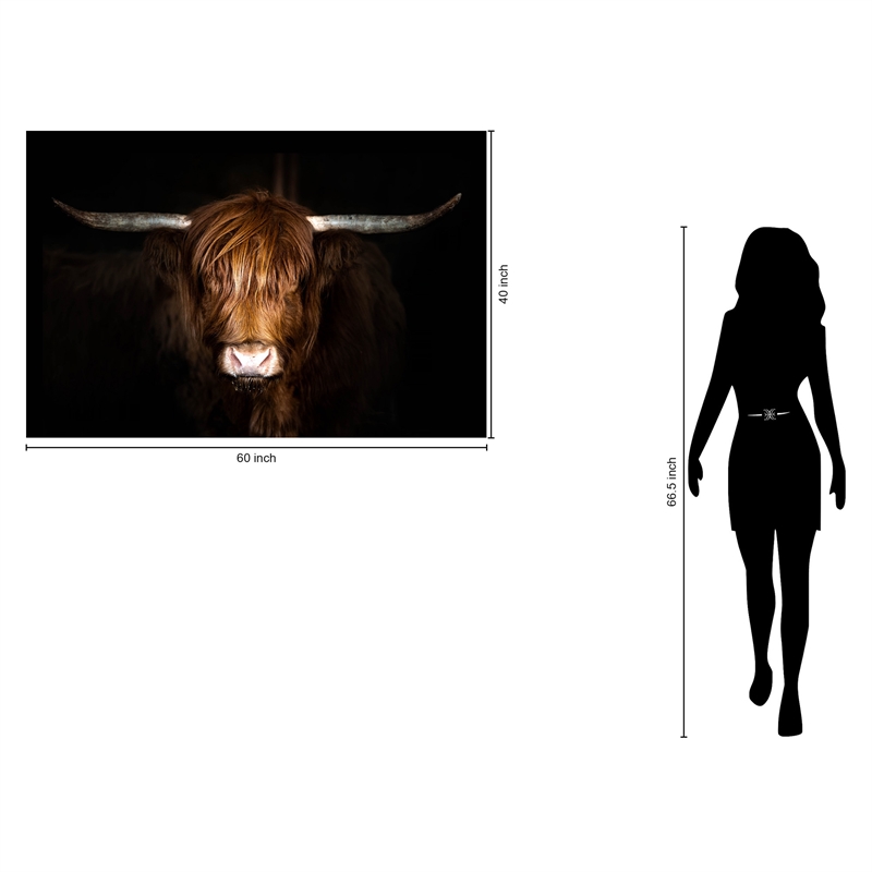 Highland Cow on Black Frameless Multi-Color Tempered Glass Wall Art - 60