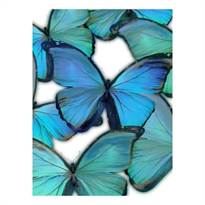 Azure & Verdant Butterfly Dance Canvas Wall Art - 16&quot x 24&quot - Multicolor