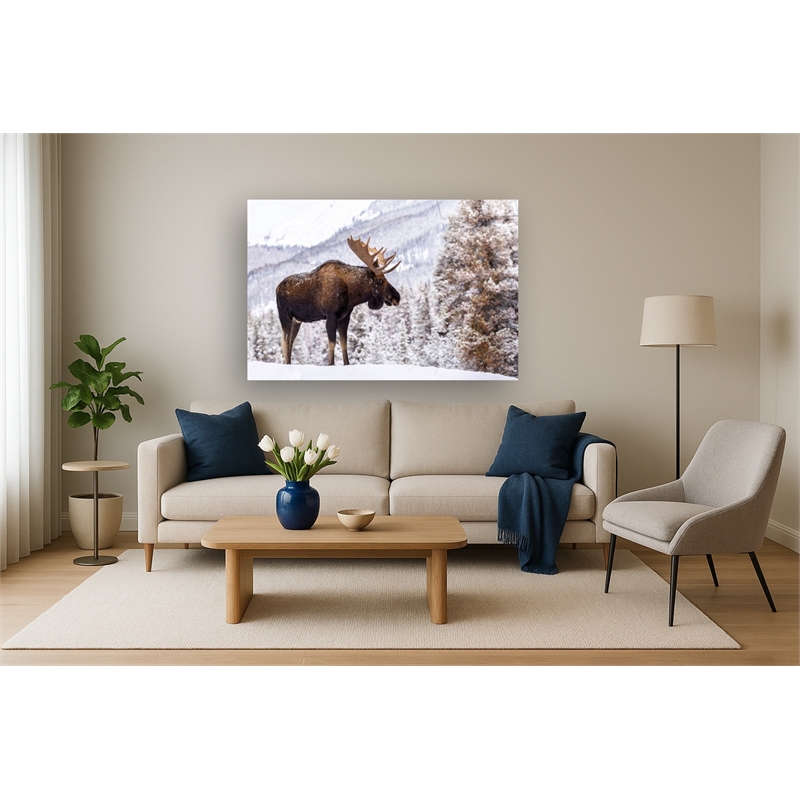Moose in Snow Frameless Tempered Glass Wall Art - 60
