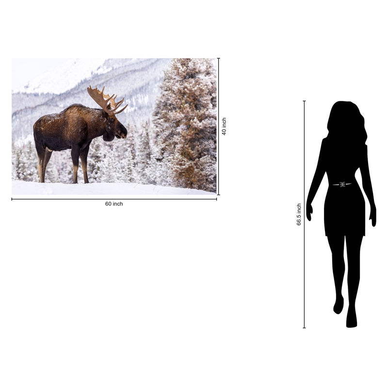 Moose in Snow Frameless Tempered Glass Wall Art - 60