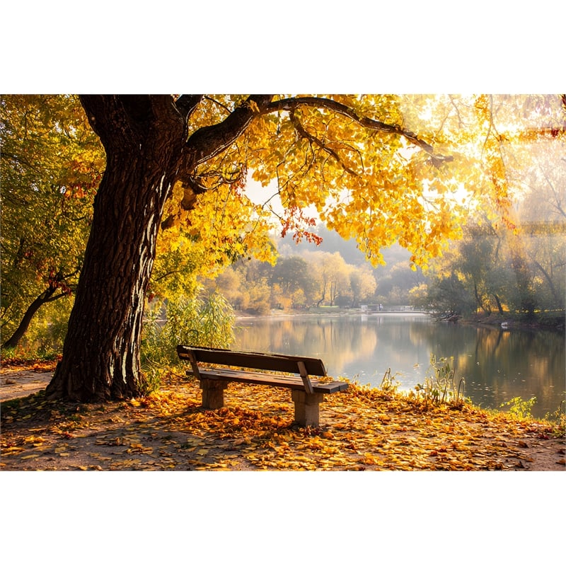 Autumn Lakeside - 40