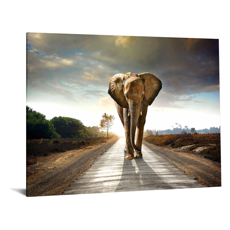 Elephant Journey Frameless Tempered Glass Wall Art - Multicolor