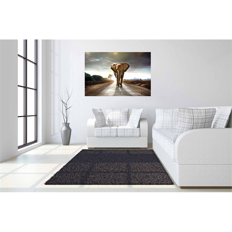 Elephant Journey Frameless Tempered Glass Wall Art - Multicolor
