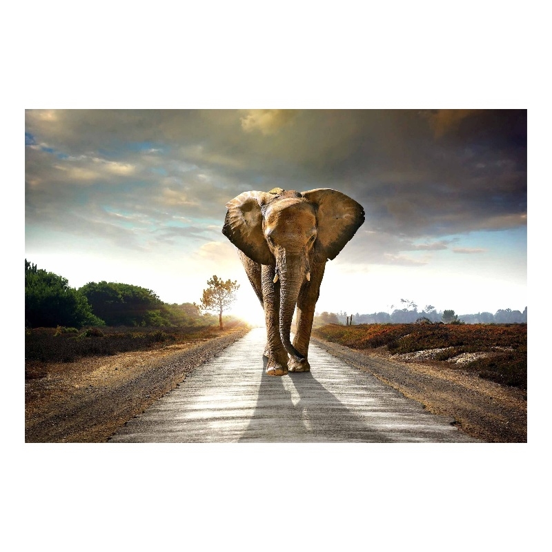 Elephant Journey Frameless Tempered Glass Wall Art - Multicolor