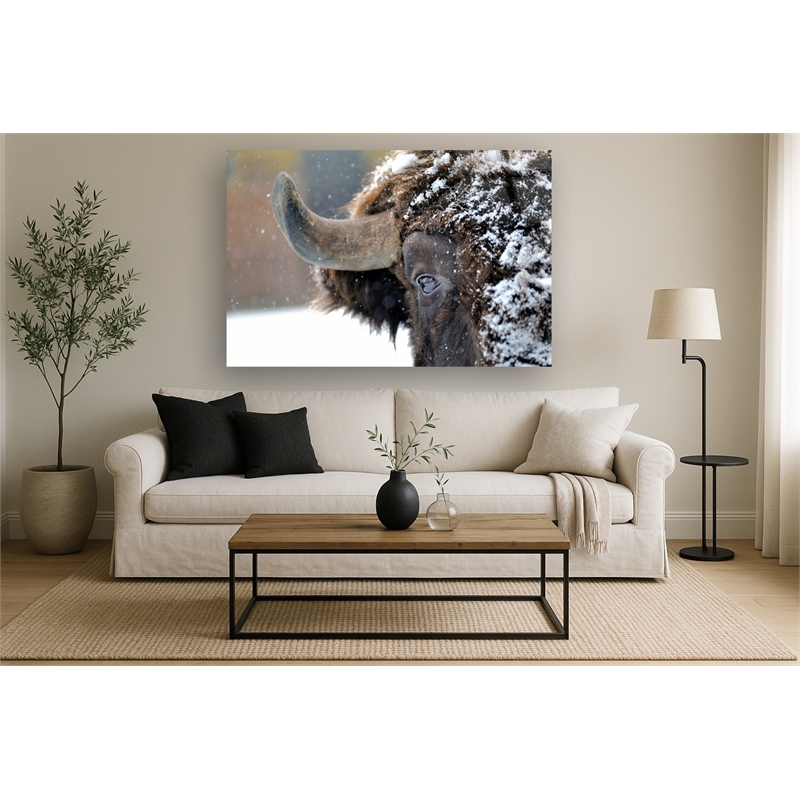 Snowy Bison Frameless Tempered Glass Wall Art - 60