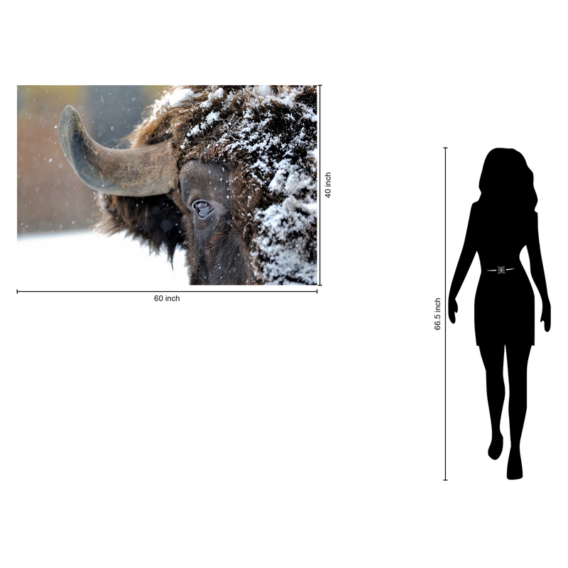 Snowy Bison Frameless Tempered Glass Wall Art - 60