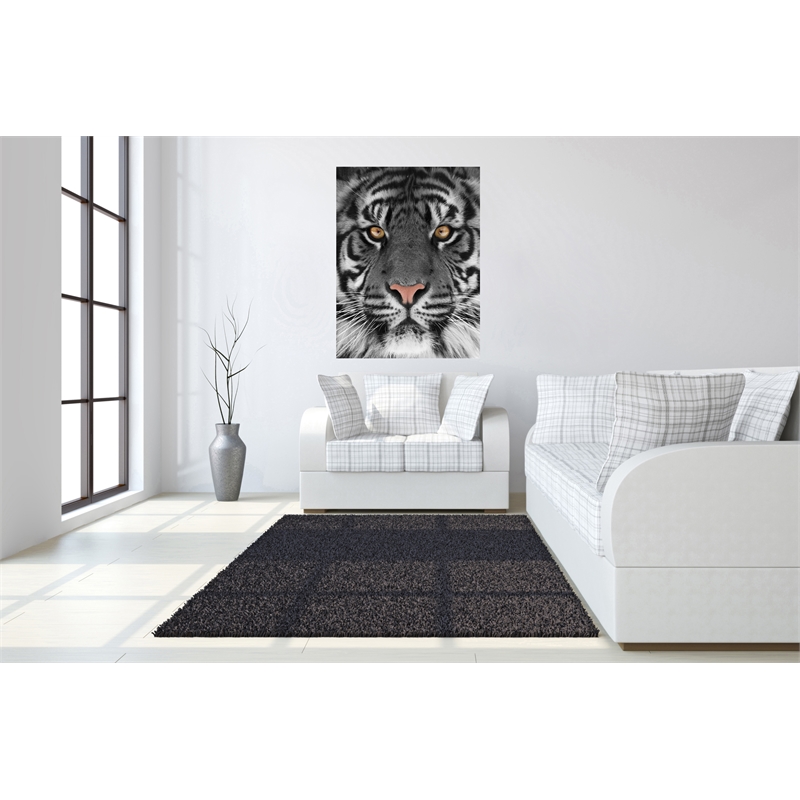 Eye of the Tiger Frameless Tempered Glass Wall Art - Multicolor