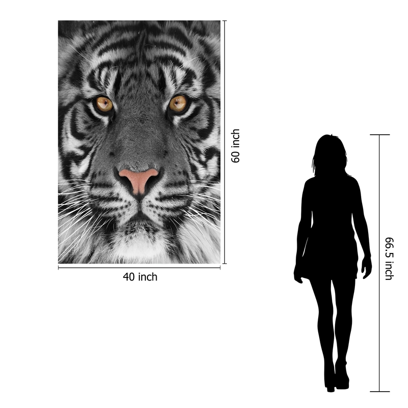 Eye of the Tiger Frameless Tempered Glass Wall Art - Multicolor