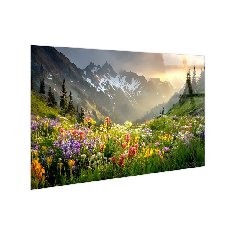 Alpine Wildflower Misty - 40