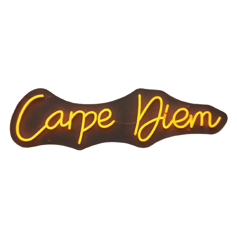 Carpe Diem Neon Sign - 28