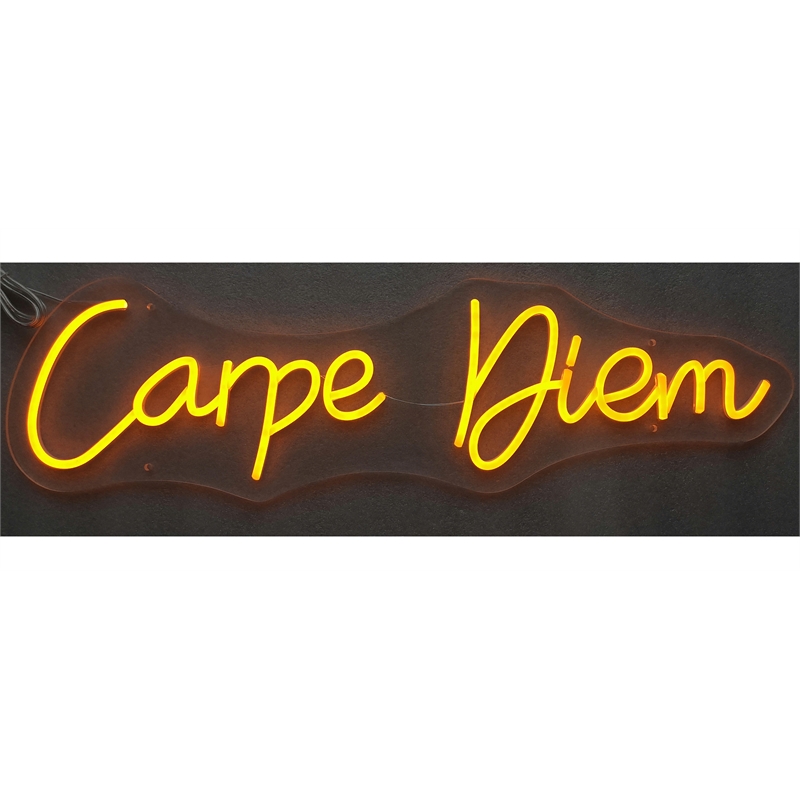 Carpe Diem Neon Sign - 28