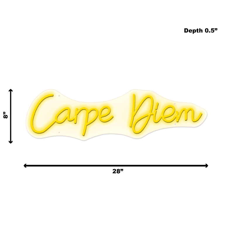 Carpe Diem Neon Sign - 28