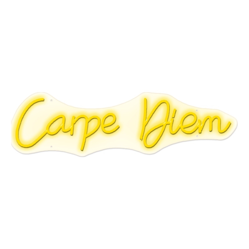 Carpe Diem Neon Sign - 28