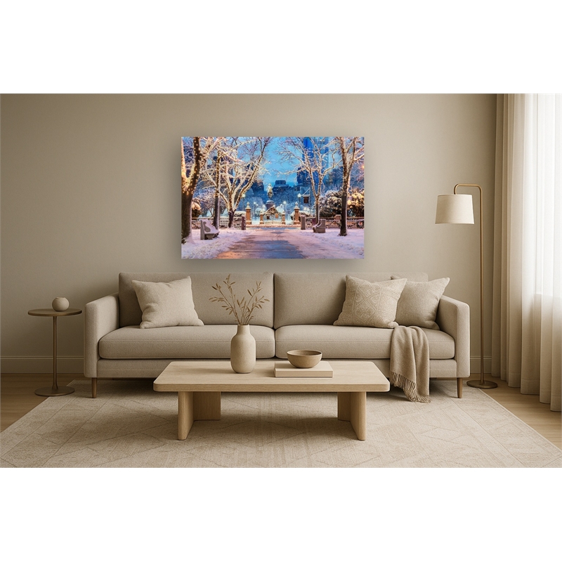 Boston in Winter Frameless Tempered Glass Wall Art - Multicolor