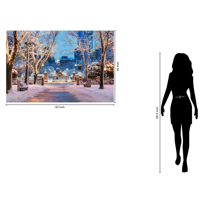Boston in Winter Frameless Tempered Glass Wall Art - Multicolor
