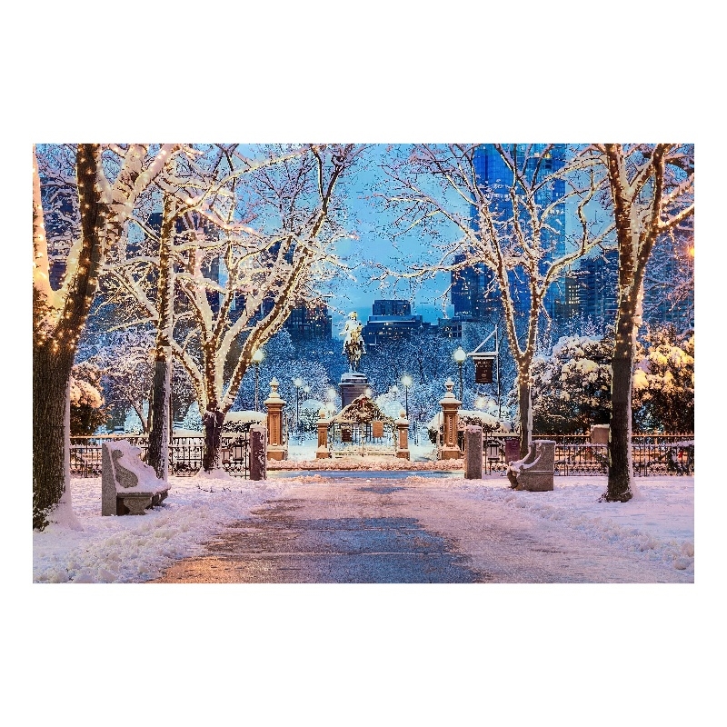 Boston in Winter Frameless Tempered Glass Wall Art - Multicolor