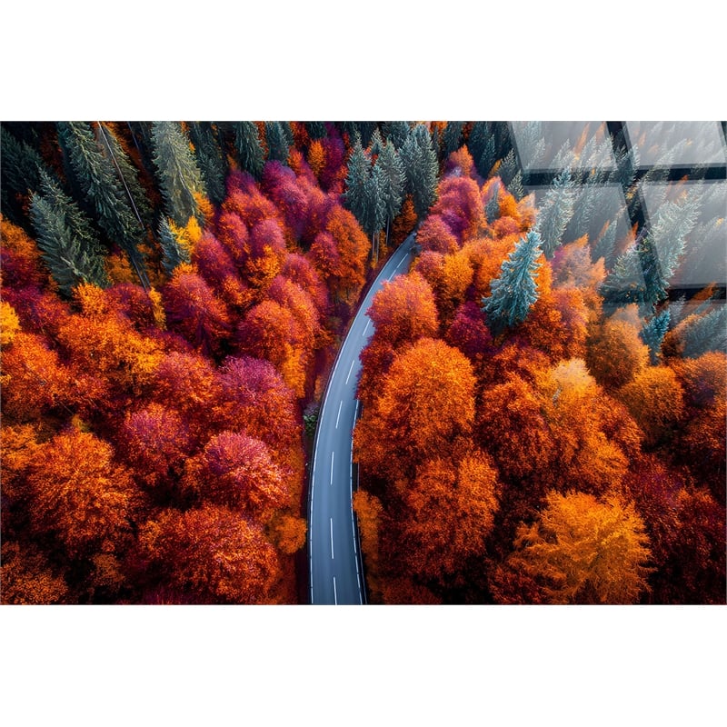 Autumn Bend - 40