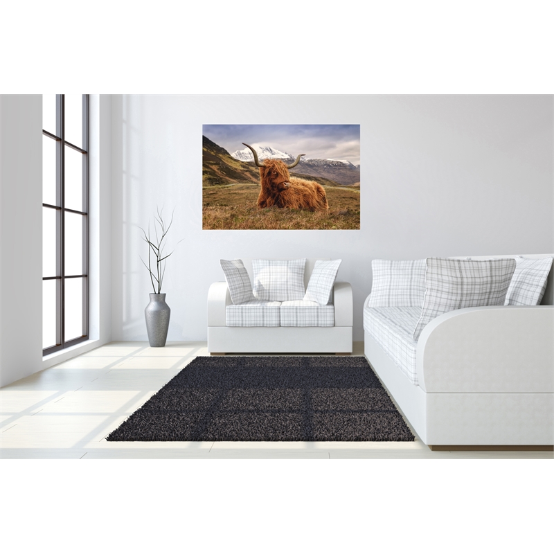 Highland Cow Frameless Tempered Glass Wall Art - 60