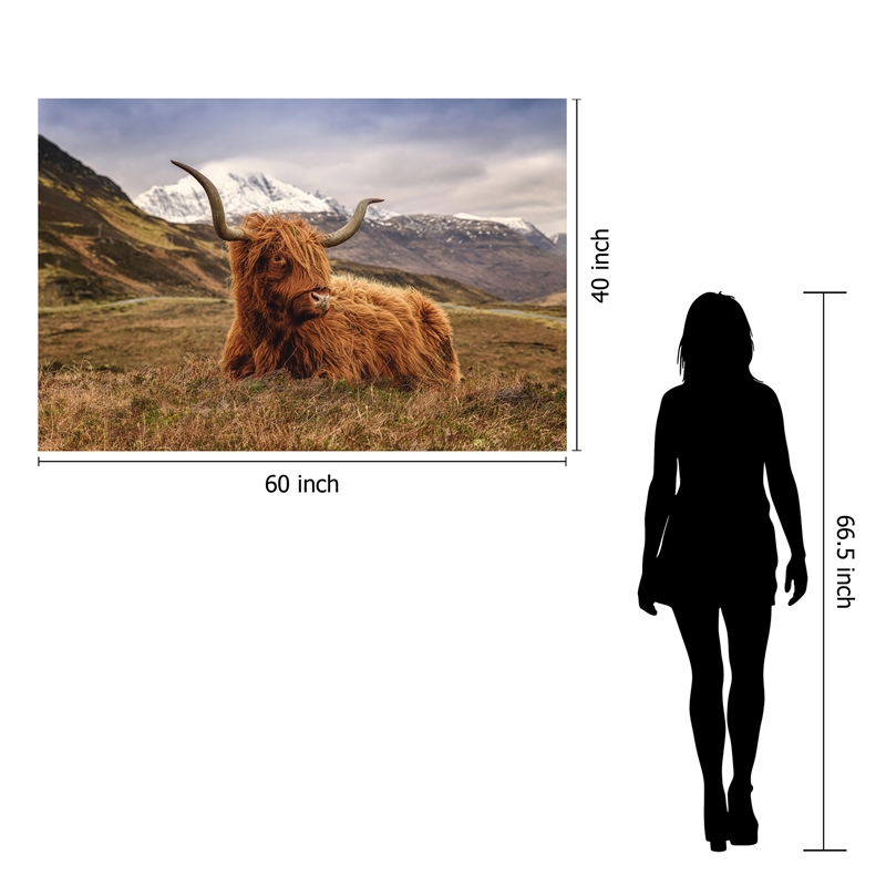 Highland Cow Frameless Tempered Glass Wall Art - 60