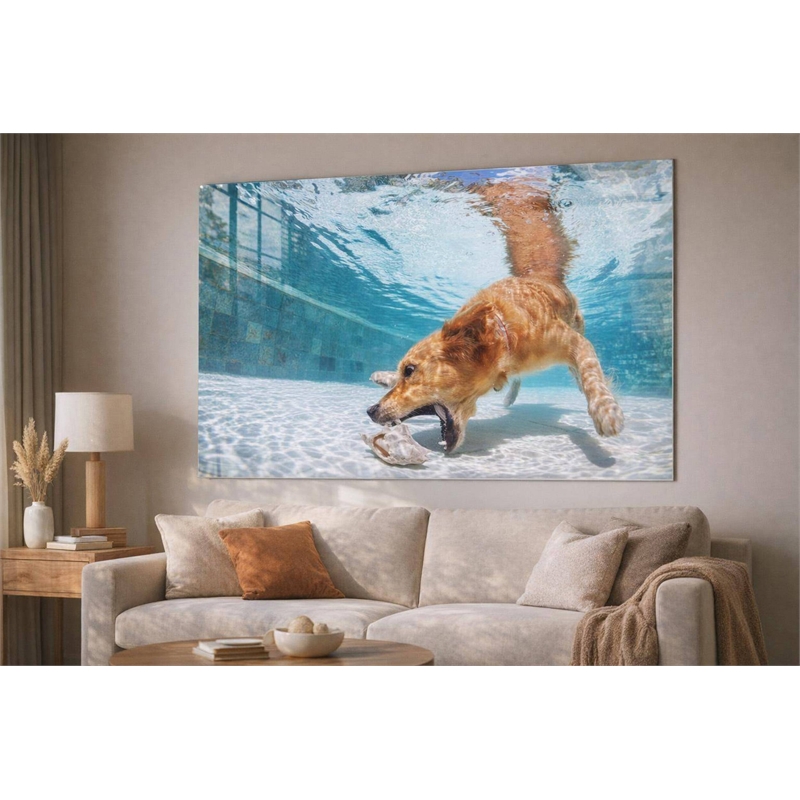 Poolside Retriever - 40