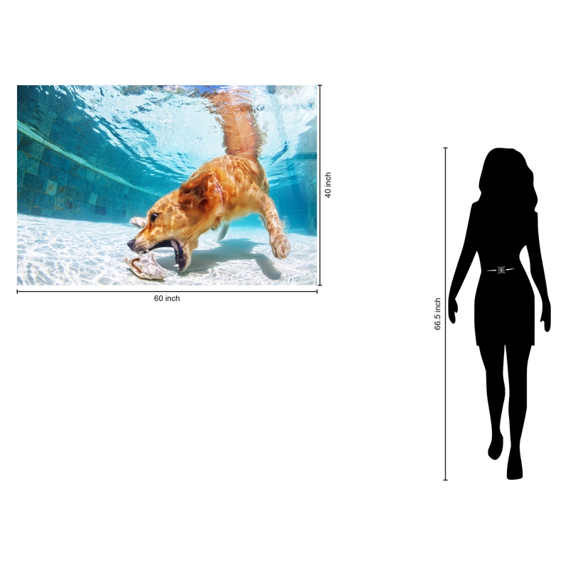 Poolside Retriever - 40
