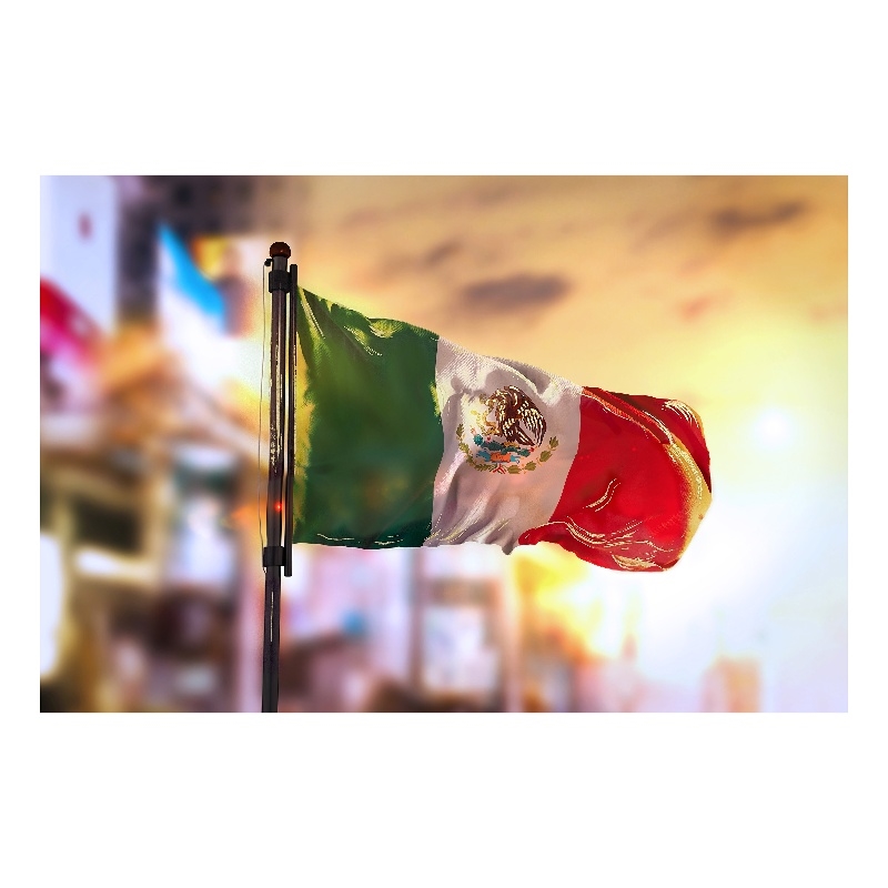 Mexican Flag Frameless Tempered Glass Wall Art - 60