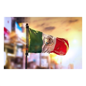 Mexican Flag Frameless Tempered Glass Wall Art - 60&quot x 40&quot - Multicolor