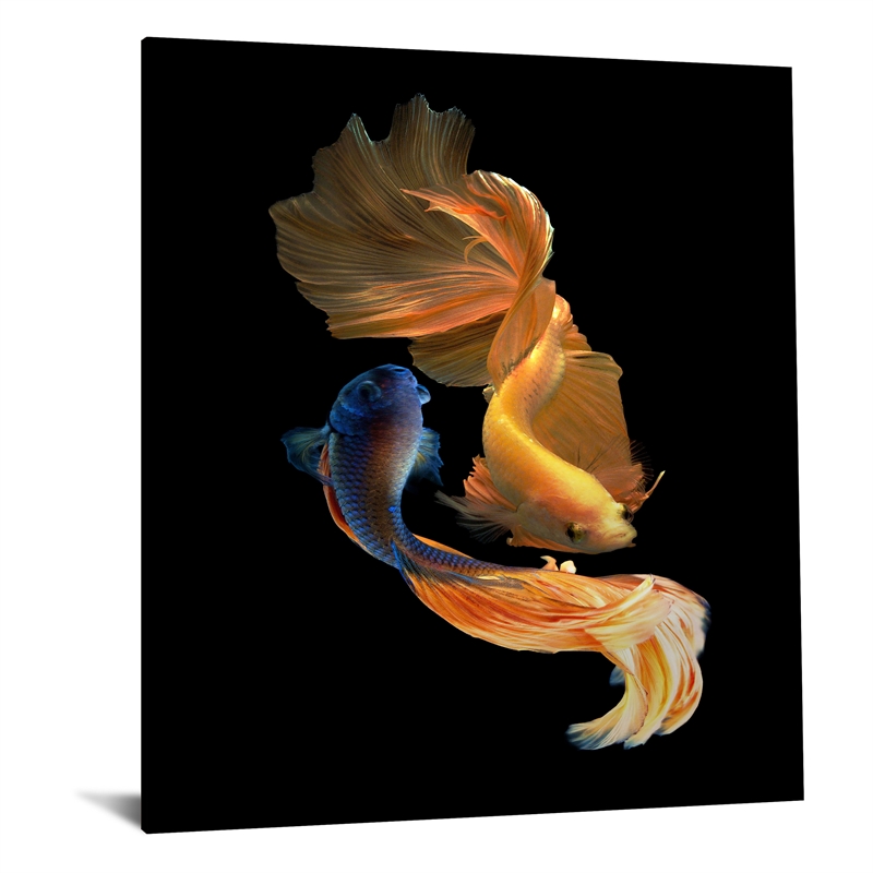 Ying Yang Fish Frameless Tempered Glass Wall Art - 40