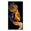 Ying Yang Fish Frameless Tempered Glass Wall Art - 40