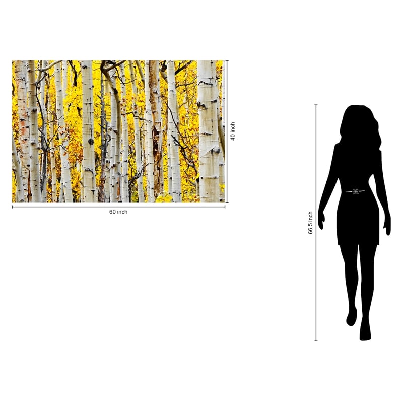 Yellow Aspen Frameless Tempered Glass Wall Art - 60
