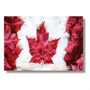 Dontcha Know Frameless Tempered Glass Wall Art - 60&quot x 40&quot - Multicolor