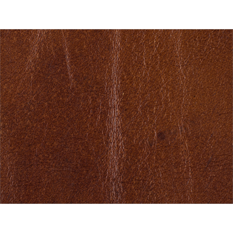 Exton Stationary Leather Sofa with Nailheads in Brown by Hooker Furniture