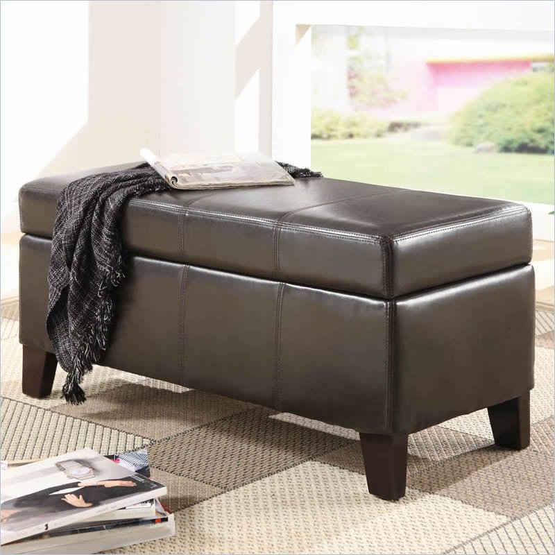 Modus Urban Seating Blanket Storage Bench in Chocolate Leatherette