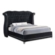 Barzini Upholstered Eastern King Wingback Bed Black