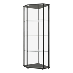Curio Cabinets
