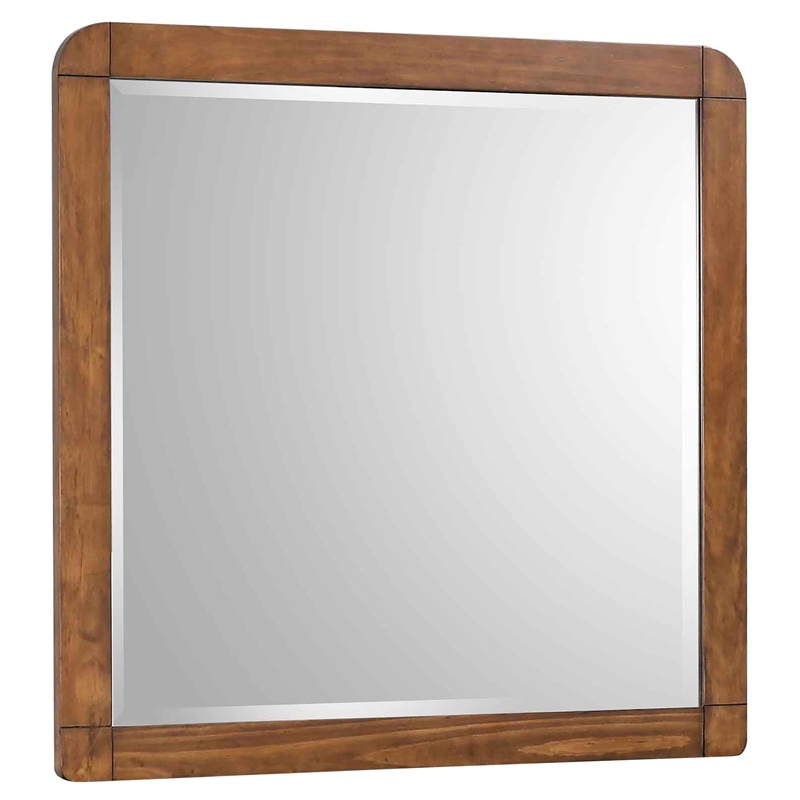 Robyn 6-drawer Dresser with Mirror Dark Walnut