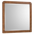 Robyn 6-drawer Dresser with Mirror Dark Walnut