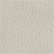 Trenton 54-inch Wood Twin Panel Bed Rustic Cream