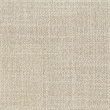 Arini 56-inch Queen Panel Bed Cream and Black