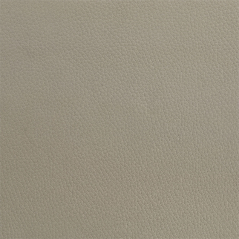 Coaster Medley Transitional Genuine Leather Queen Platform Bed in Tan